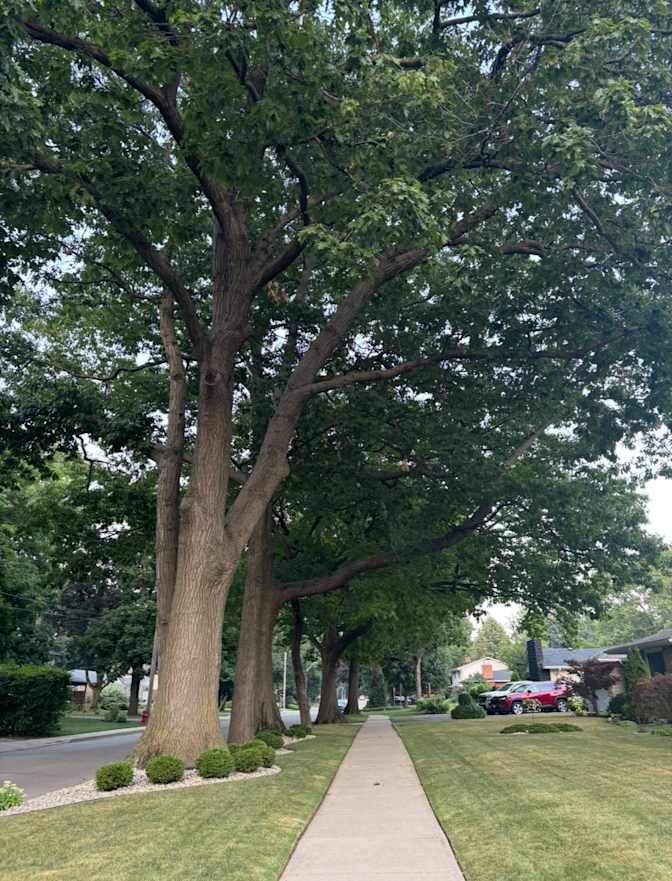 Photo of Michele's room