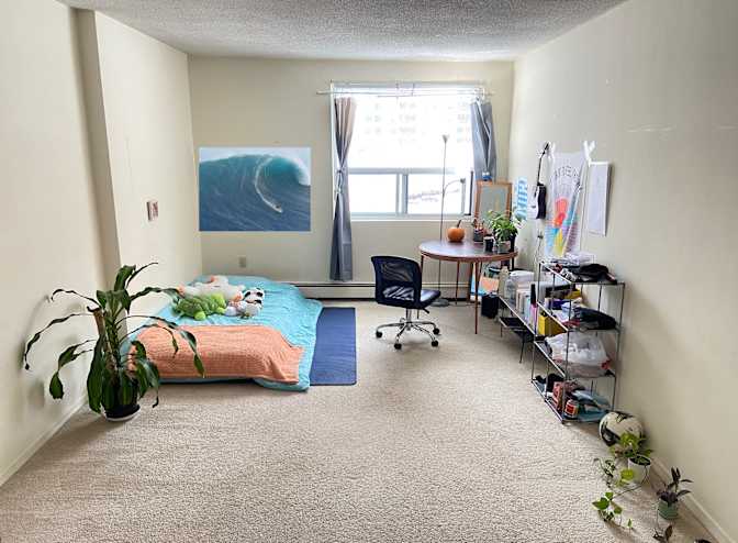 Sepideh Damercheli's room