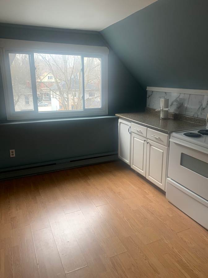 Photo of Brick on Brick's room