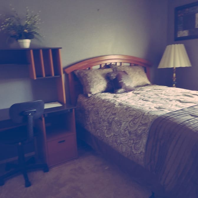 Photo of Lucy's room