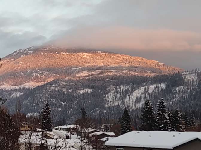 Photo of sheila's room