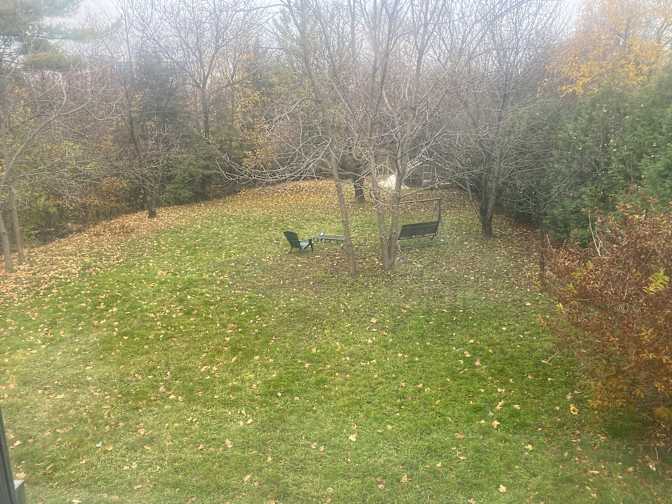 Photo of Gustavo Queiros's room