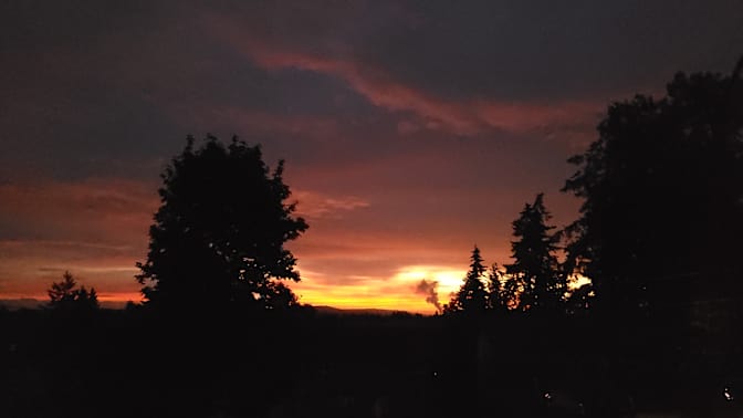 Photo of MONIKA S's room