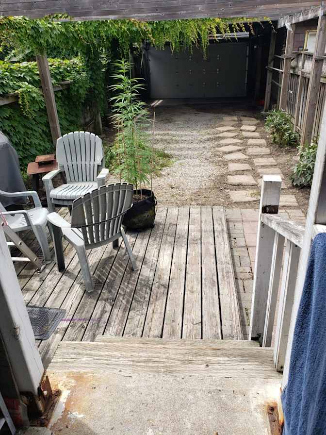 David Restrepo's room