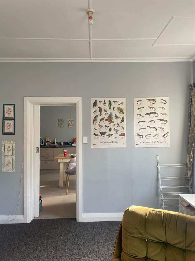Photo of anna knackstedt's room