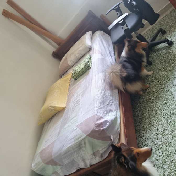 Photo of Celestine's room