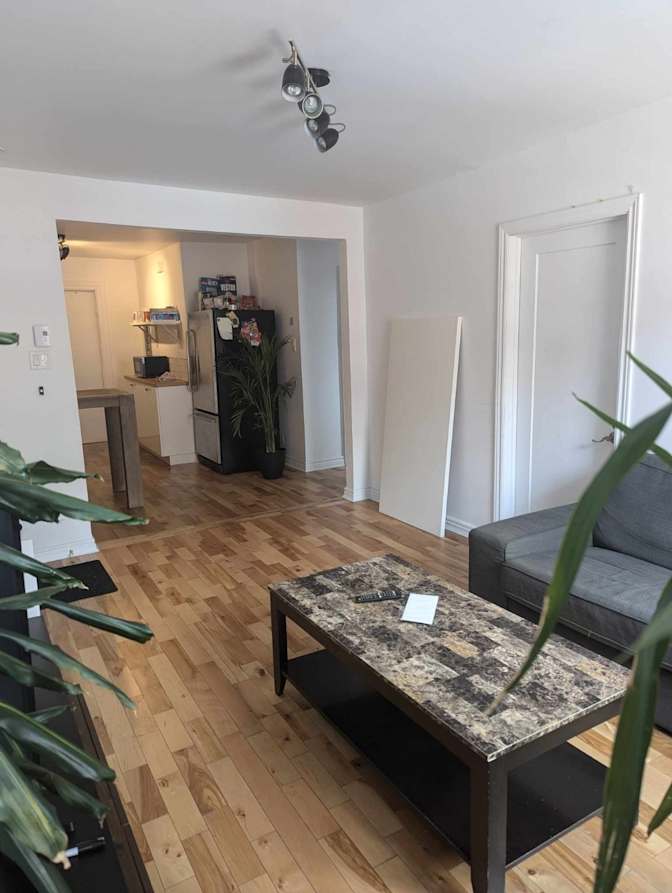 Photo of Rami Ribat's room