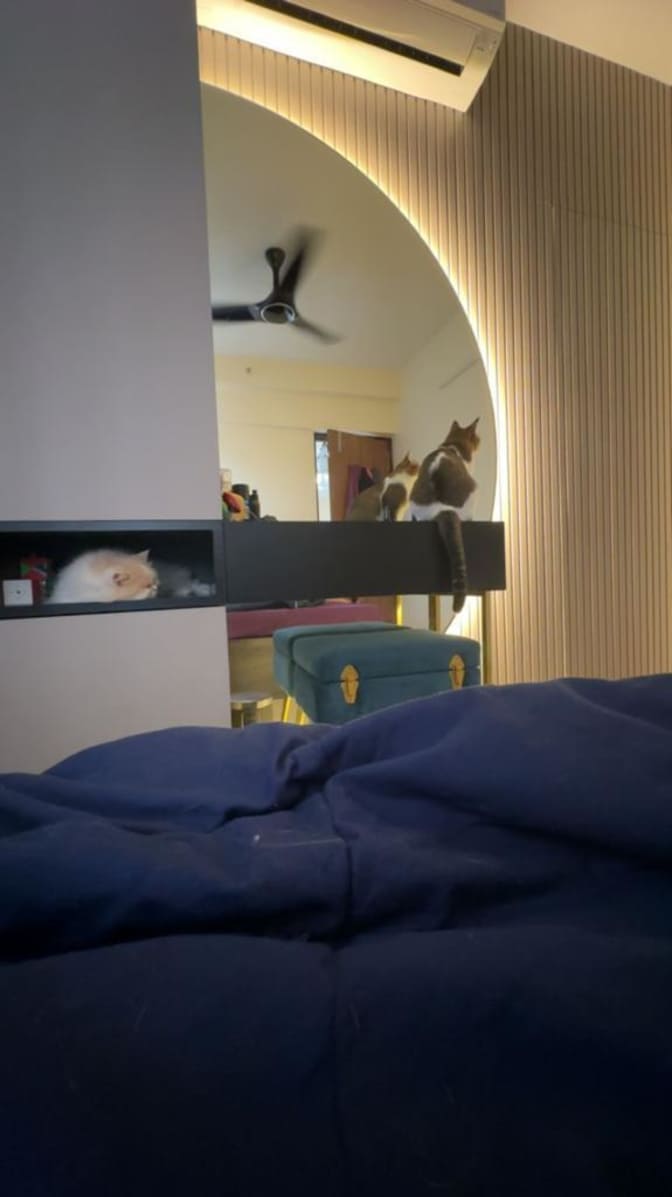 Photo of Shruti Gopireddy's room