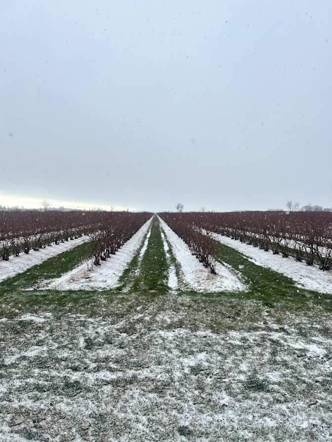 Photo of Seiko's room