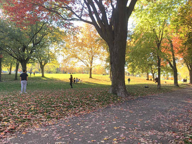 Andrew Chappell's room