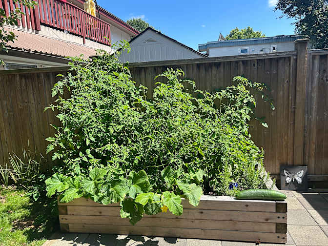 Photo of Tara's room