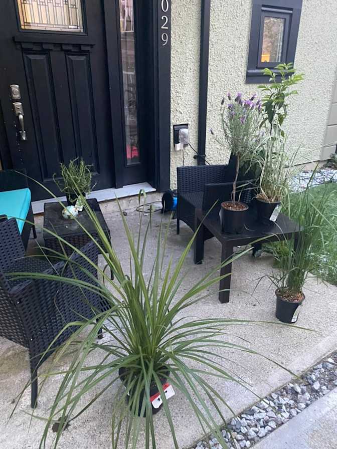 Natasha Thirsk's room