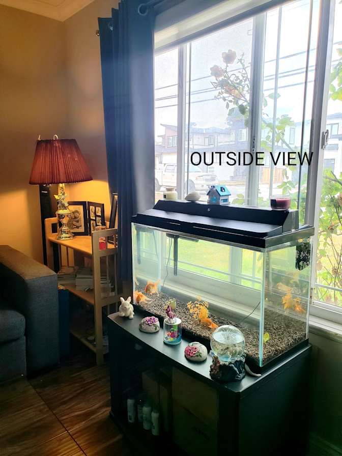 Veronica Choudhary's room