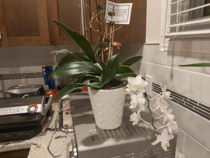 Photo of Ester's room