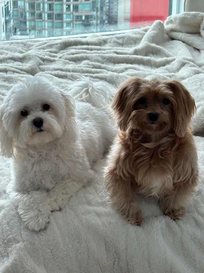 Photo of Katie's room