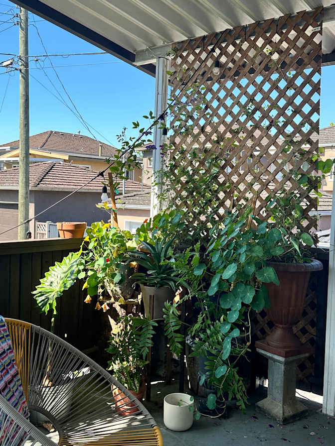 Photo of Diego's room