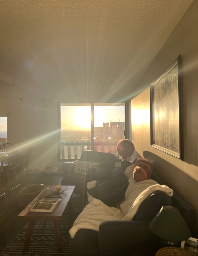 Photo of Amelia's room
