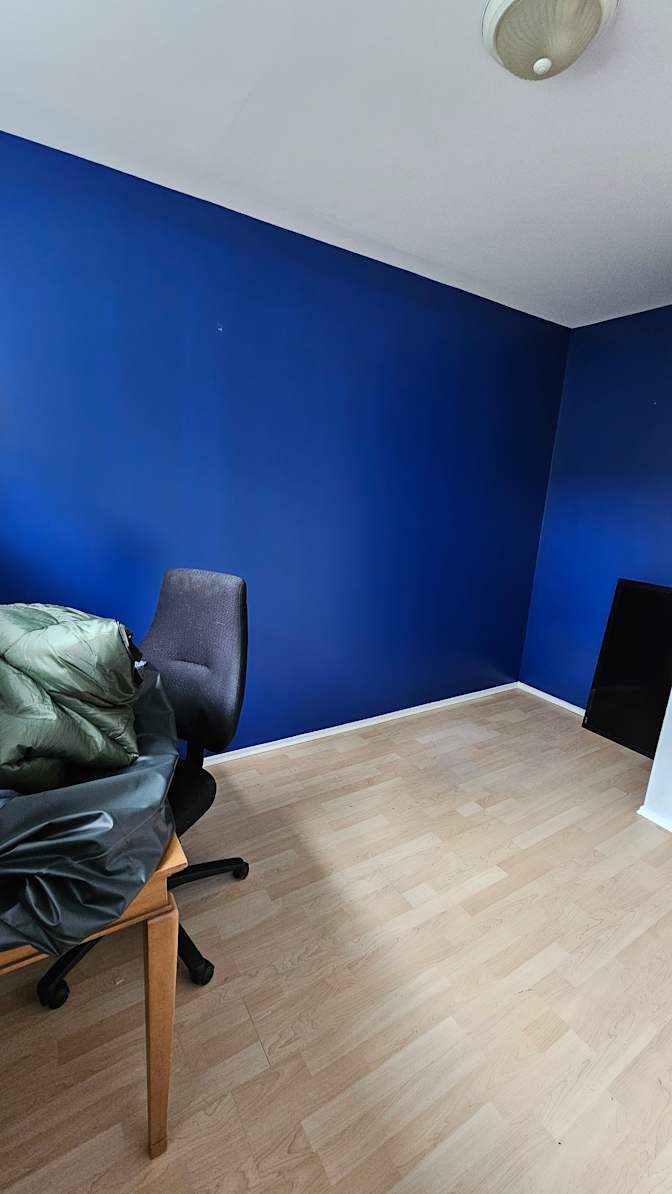Photo of Caileigh's room