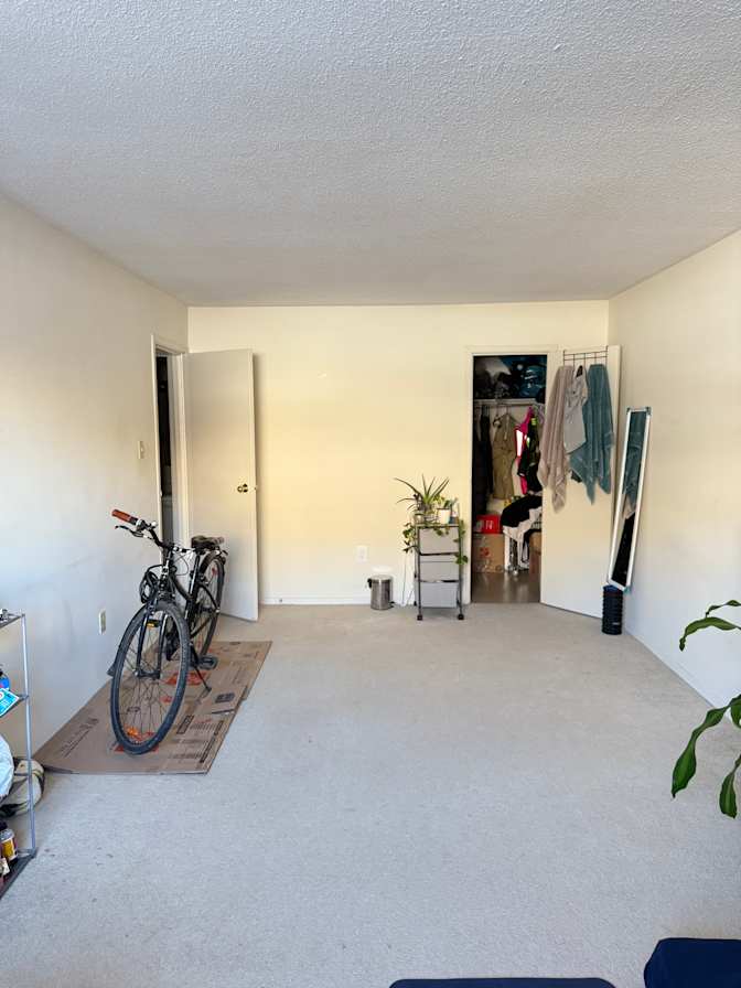 Sepideh Damercheli's room