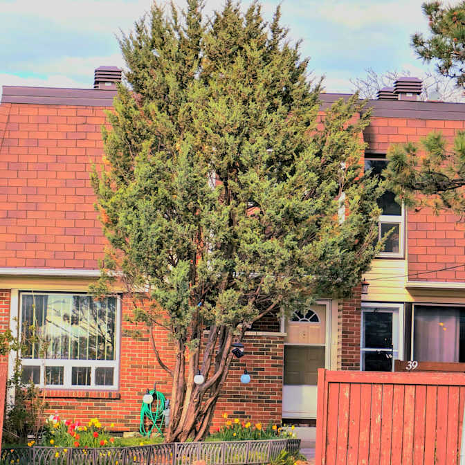 Sayantani Dhar's room