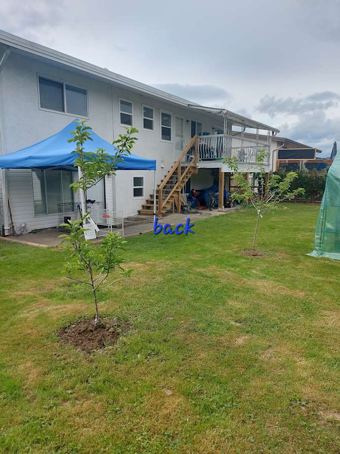 Richard Greatbanks's room