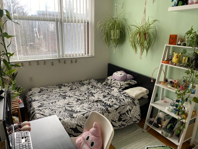 Photo of Alessandra's room
