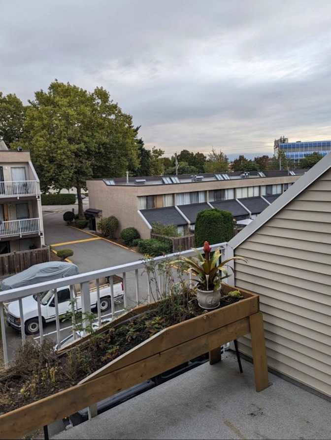 Jacko Delavanti's room