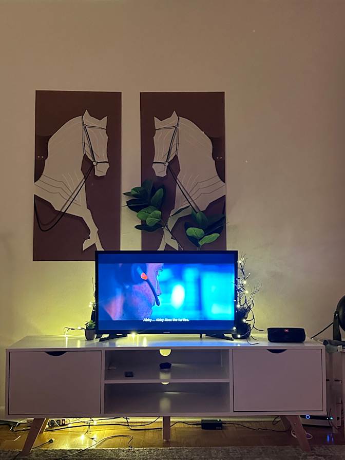 Photo of Mishmi's room