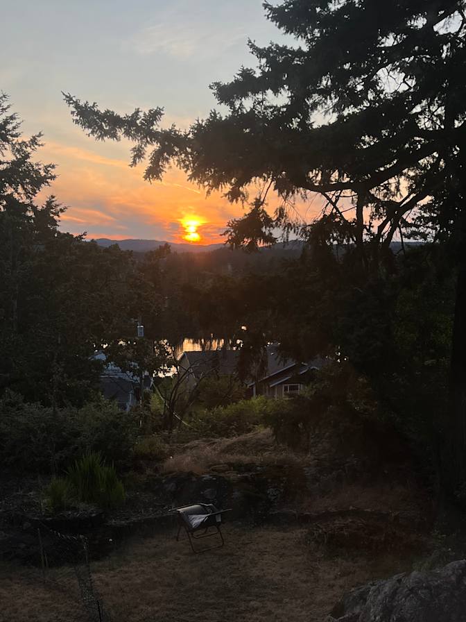 Photo of Colt's room