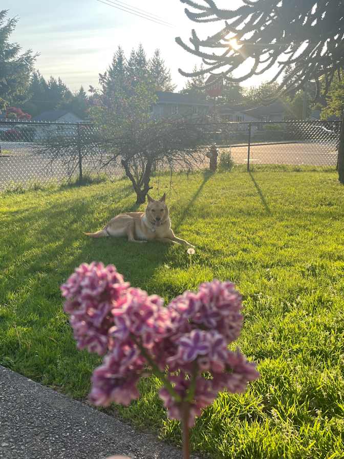 Kayla Stockton's room