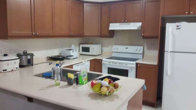 Photo of Shaheen's room