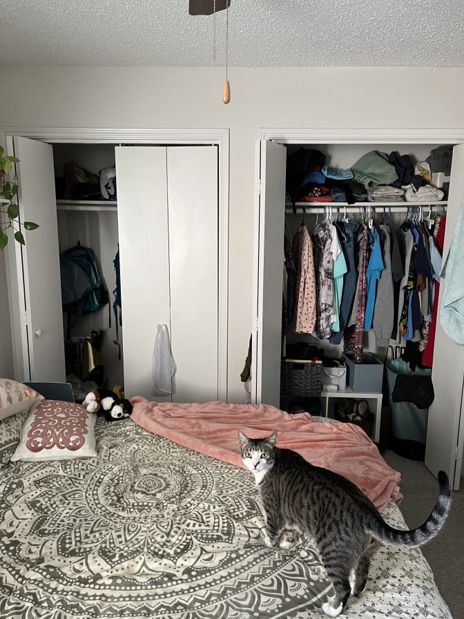 Photo of Brittany's room
