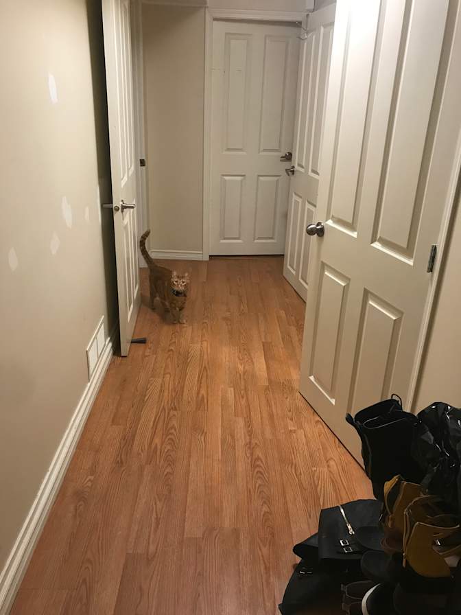 Photo of Mary's room