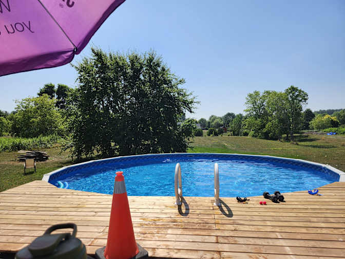 MOHADESE AMINI's room