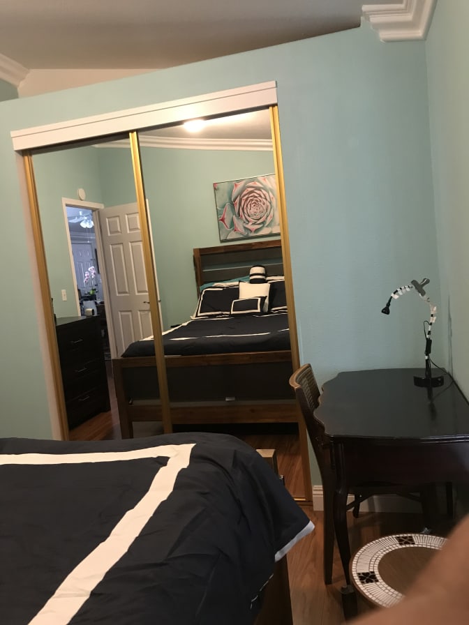 Photo of FREDDIE's room