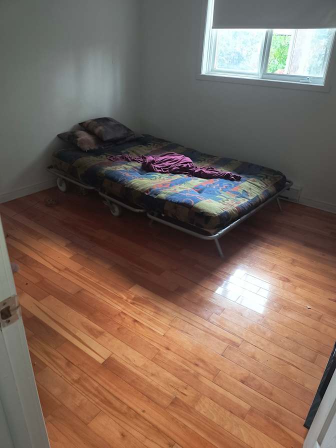 Cynthia Whelan's room