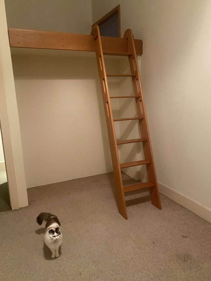 Photo of Aisha's room