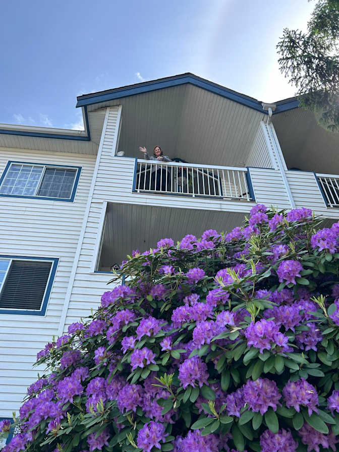 micheline danielson's room