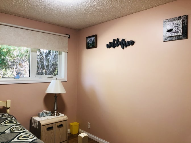 Photo of Tracey's room