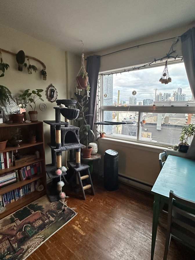 Photo of Hayden Gelsumini's room