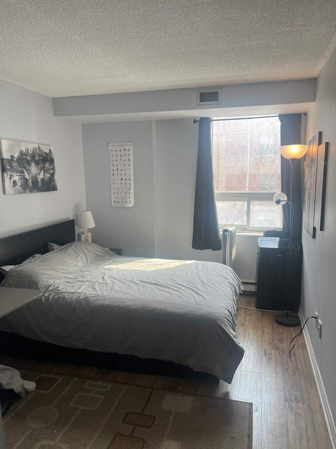 Pierre Bedrossian's room