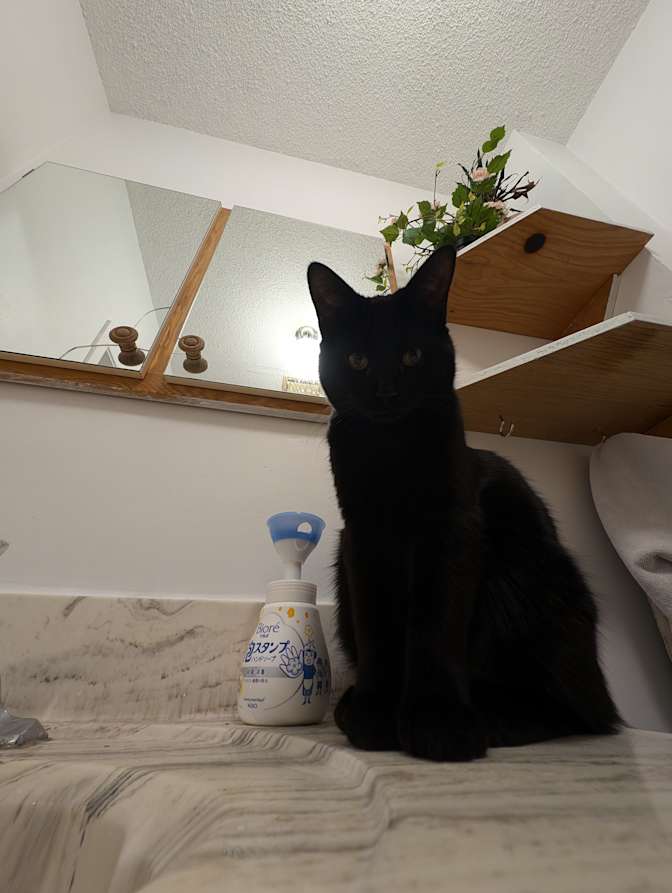 Photo of Amy's room