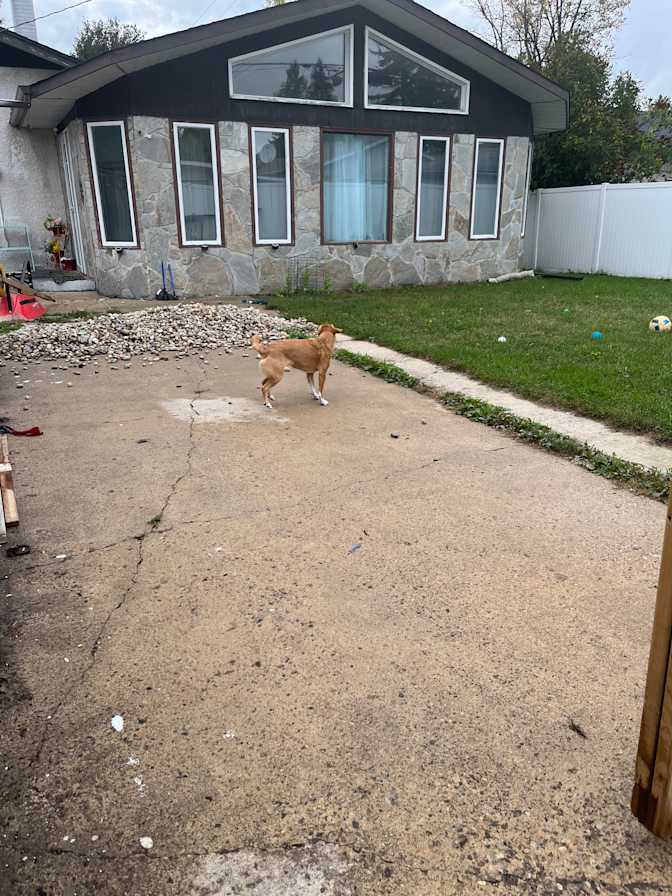 Photo of Angela Rinella's room