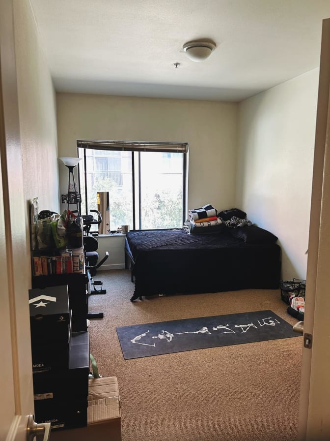 Photo of Paige's room