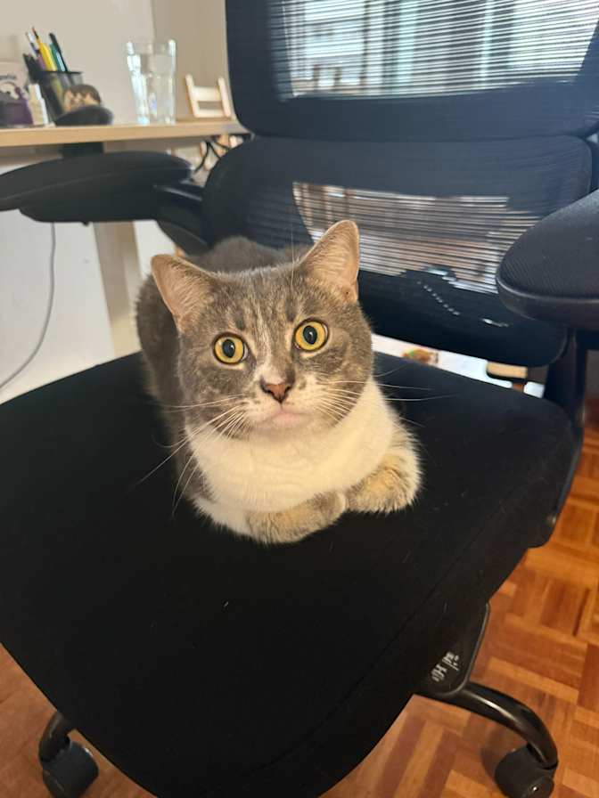 Andrea Castillo's room