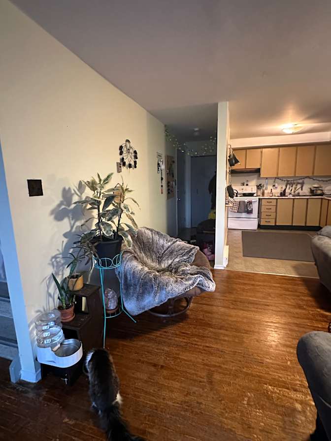 Photo of Hayden Gelsumini's room