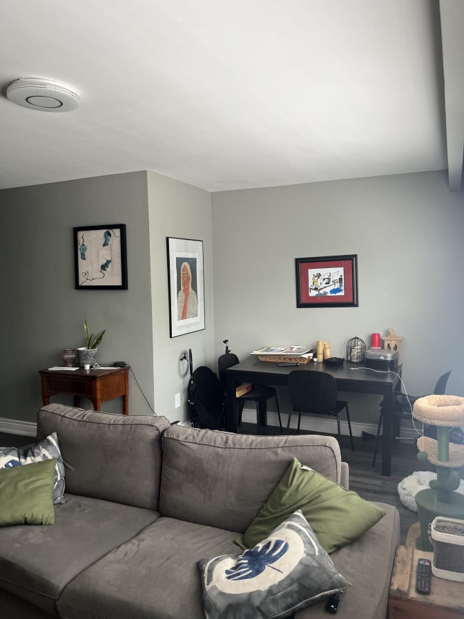 Photo of Layla's room