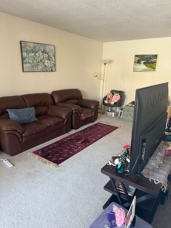 Sepideh Damercheli's room