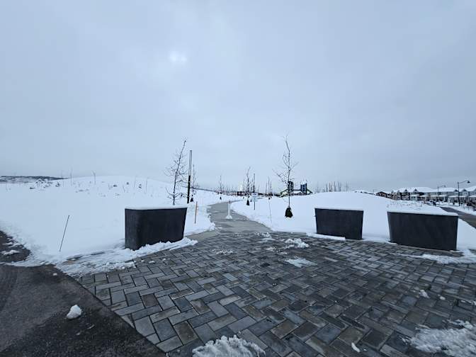 Elizabeth Adams's room