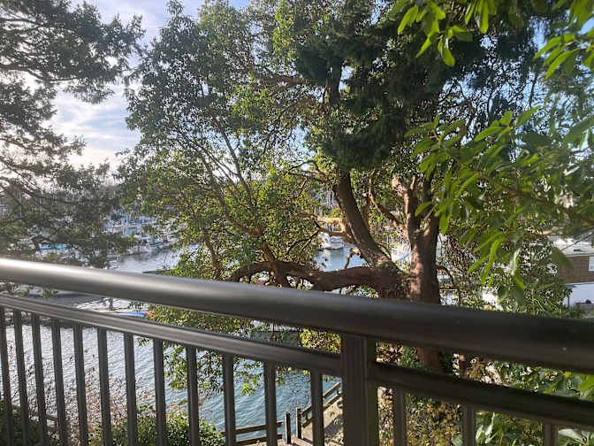 Photo of Avleen's room